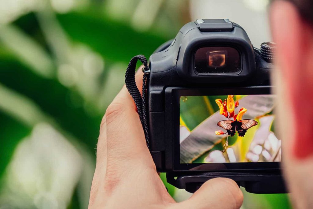 Capture Your Future: Master Photography with a Pro Course